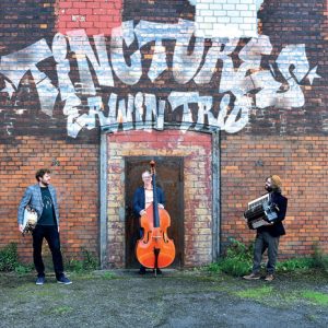 Erwin Trio – Tinctures