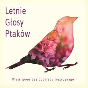 Letnie Głosy Ptaków (ptasi śpiew bez podkładu muzycznego)