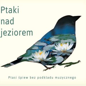 Ptaki nad jeziorem