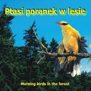 Ptasi poranek w lesie — Odgłosy natury