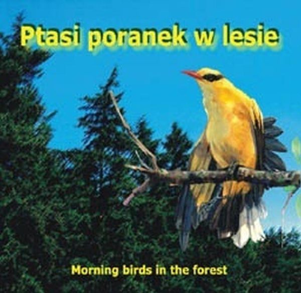 Ptasi poranek w lesie — Odgłosy natury